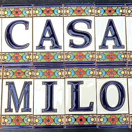 Apartament Casa Milo Playa Los Locos ตอร์เรเวียคา ภายนอก รูปภาพ