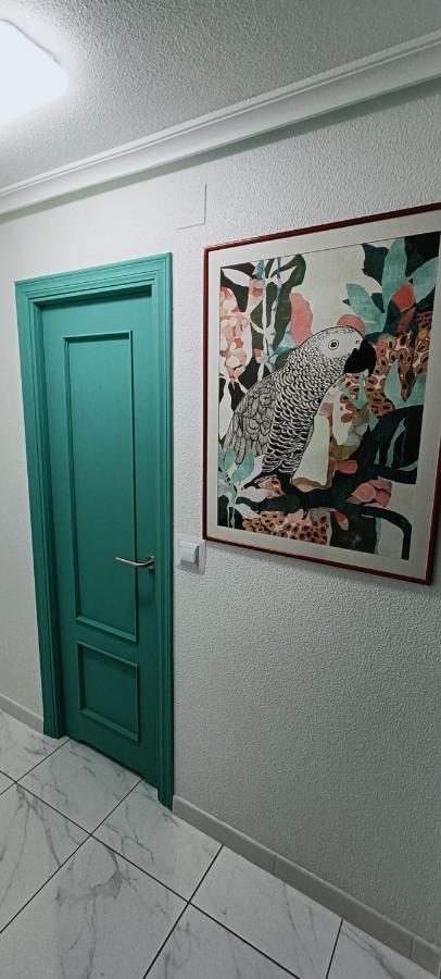 Apartament Casa Milo Playa Los Locos ตอร์เรเวียคา ภายนอก รูปภาพ